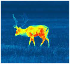 Advanced Features For Colorado Hunters