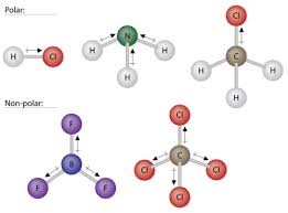 However, the varying strengths of different types of intermolecular forces are responsible for physical properties of molecular compounds such as. 5 3 Polarity And Intermolecular Forces Chemistry Libretexts