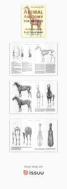 Animal Anatomy For Artists The Elements Of Form Anatomy For Artists Animal Anatomy Anatomy