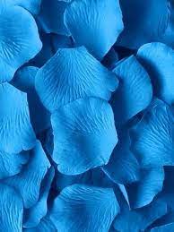 ڿڰ azure blue silk wedding rose petals blue aesthetic blue tones colour aesthetic
