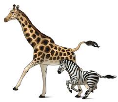 How To Draw Animals Zebras And Giraffes Envato Tuts Design Illustration Tutorial Animal Drawings Giraffe Drawing Giraffe