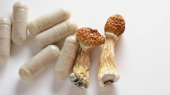 Complete Magic Mushroom Dosage Guide