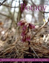 Image result for Apocynaceae subfamily Periplocoideae