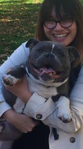 Nico was star pupil in his class at Dog Communication last Saturday!