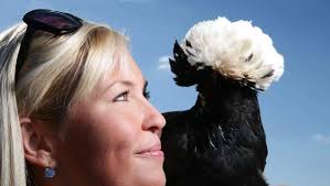 Hens a feather in the cap