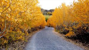 Nurullah Gençin yazdığı Yağmur şiirini İbrahim Sadri seslendirdi... -  Habervakti, son dakika haber, haber, güncel haberler, gazeteler