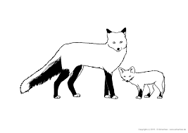 Malvorlagen fuchs und elster coloring and malvorlagan. Kostenlose Tierbilder Zum Ausmalen Ausmalbilder Von Tieren Download