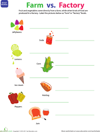 Where Food Comes From Farm Or Factory Farm Lessons Kindergarten Farm Theme Farm Kindergarten