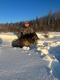 Everyone thinks hunting wolves over bait is easy. Well I bet Alan would  argue that it's far from easy. 3 trips and today was his 20th day sitting.  At about 1:45pm his