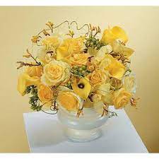 Maybe you would like to learn more about one of these? Four Seasons Diy Florist Local Florist Fort Wayne In