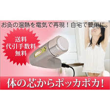黄帝灸 ナノプラチナ Ii型 電気 温灸器 電気のお灸 ビワ びわ葉 温灸器 へそきゅう 温熱治療器 101 黄帝灸本店 電気のお灸 通販 Yahoo ショッピング