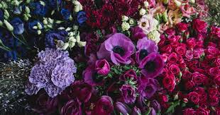 We have a wonderful range of fresh flowers from posies, bouquets, flower arrangements, flowers in waterboxes and flowers in baskets. Court Florist Christchurch Nz Since 1937 Same Day Flower Delivery