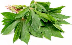 Pembayaran mudah, pengiriman cepat & bisa cicil 0%. 10 Rekomendasi Sayuran Untuk Bahan Pelengkap Pecel Nikmat Dan Segar