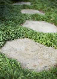 Charlotte Landscape Design Ideas Pictures Remodel And Decor Mondo Grass Dwarf Mondo Grass Backyard Grass Landscaping