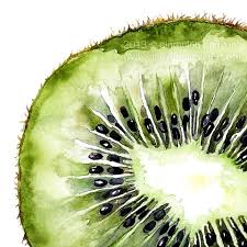 Obst Aquarell Buscar Con Google Aquarell Wasserfarbenkunst Blackbanana Fruits Drawing Fruit Painting Watercolor Drawing