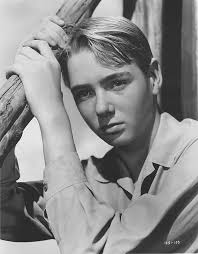 Intruder in the Dust (film)