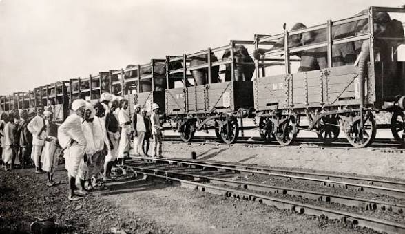 Elephants loaded in Railway Box Cars . They are being loaded in Madras in 1920
