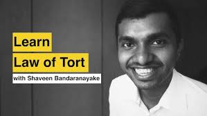 Learn Tort Law in 90 Minutes!