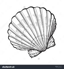 Background Ocean Floor Clipart Black And White Scallop Sea Shell Sketch Style Vector Illustration Isolated On White Background Realistic Hand Drawing Of Sal Seashell Tattoos Shell Drawing Seashell Drawing