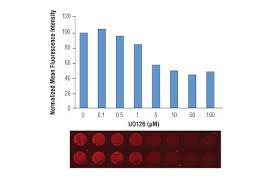 Irdye 680lt secondary antibodies are comparable to alexa fluor 680 secondaries. Anti Mouse Igg H L Dylight 680 Conjugate Cell Signaling Technology
