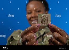 Donna Mignogna's Instagram, Twitter & Facebook