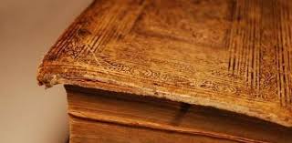 سيبويه ليس وحده أشهر 10 علماء قامت على أكتافهم علوم اللغة العربية منوعات الوطن