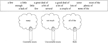 Determinersclass9 Determinersexercisesforclass9cbse Determinersexercisesforclass9cbsewithanswers Learncram In 2020 Reading Skills Determiners English Grammar Rules