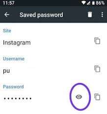 How To Save The Princess In 8 Programming Languages How To Delete Saved Passwords In Chrome Android Phone Bestusefultips Saved Passwords Android Phone Phone