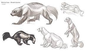 We did not find results for: Zebrafeet S Art Wolverine Animal Animal Drawings Animal Sketches