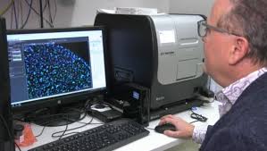 One knows that red corpuscles have two physical features which are very important in the function of respiration. New Drug Developed By U Of A Researchers Could Help Fight Blood Cancers Ctv News