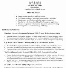 business system analyst resume