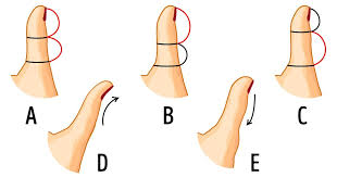 Learn this classic trick that only requires your hands, a mirror, and a little slide your right thumb to the right, along the length of your left hand. The Shape Of Your Thumb Can Reveal Something About Your Personality And It S Curious To Learn About