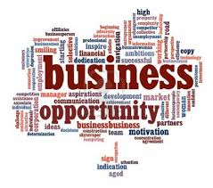 Image result for business opportunity