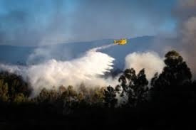 A via do infante, ou a a22, esteve cortada ao transito. Fogo Em Castro Marim Esta Em Fase De Resolucao A22 Ja Foi Reaberta Incendios Publico