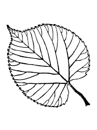 Feb 05, 2021 · trail of colors has designed some beautiful free coloring pages for adults that include images of leaves, flowers, dragons, aliens, butterflies, and abstract shapes. Leaf Coloring Pages Printable Activity Shelter