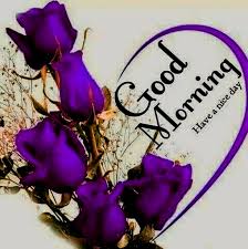 We hope that these good morning flower wishes, images for friends, love, and family will help you to express your feelings. á… Top 55 Good Morning Images Hd Morning Pictures Wishes