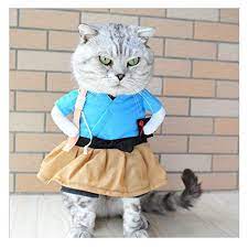 Amazon Com Blue Stones Pet Cat Costume Clothes Funny Dress Cosplay Party Clothing Office Products Cat Clot Dog Christmas Clothes Pet Costumes Cat Costumes
