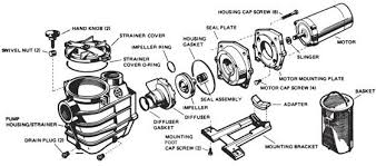Eco kleer 26 sand filter lateral assembly. Pool Pumps Mr Pool Man