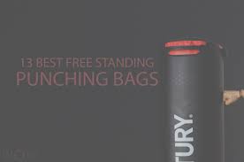 While this everlast omniflex is pretty speedy, a good speed bag is something every boxer my favorite free standing punching bag is the power systems powerforce freestanding bag. 13 Best Free Standing Punching Bags 2021 Wow Travel