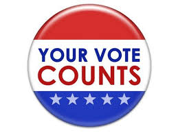 Image result for vote