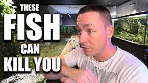 Instagram @uarujoey facebook @uarujoey tiktok @thekingofdiyofficial. The Secret Fish The King Of Diy New Aquarium Fish Ø¯ÛŒØ¯Ø¦Ùˆ Dideo