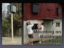 Never permit aerial spraying or fogging for mosquitoes. Bats And Mosquito Control Bat Conservation And Management Inc