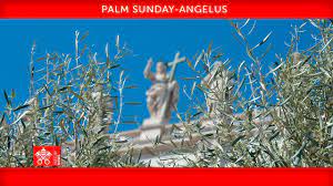 Pope On Palm Sunday Let Us Ask For The Grace To Be Amazed Vatican News