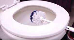 Sie Klemmt Ihre Toilettenburste 10 Minuten Unter Den Toilettensitz Der Grund Ist Genial Toiletten Reinigen Toilettensitz Toilettenburste