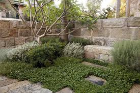 Gardens Spirit Level Designs Landscape Design Mediterranean Landscaping Beautiful Gardens