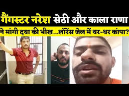 Gangster Naresh Sethi और Kala Rana ने मांगी दया की भीख, Gangster Lawrence  Bishnoi डर से कांपा!