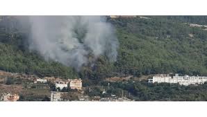 Soğukpınar mahallesi'ndeki ormanlık alandan henüz belirlenemeyen nedenle yangın çıktı. Alanya Da Orman Yangini Ntv