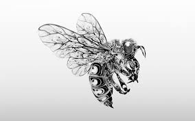 Black And White Insect With Wings Uk Pin On Whimsical Prints