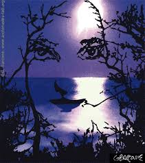 Image result for illusion pictures