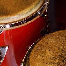 Latin percussion lp giovanni series conga bag. Latin Percussion Ableton